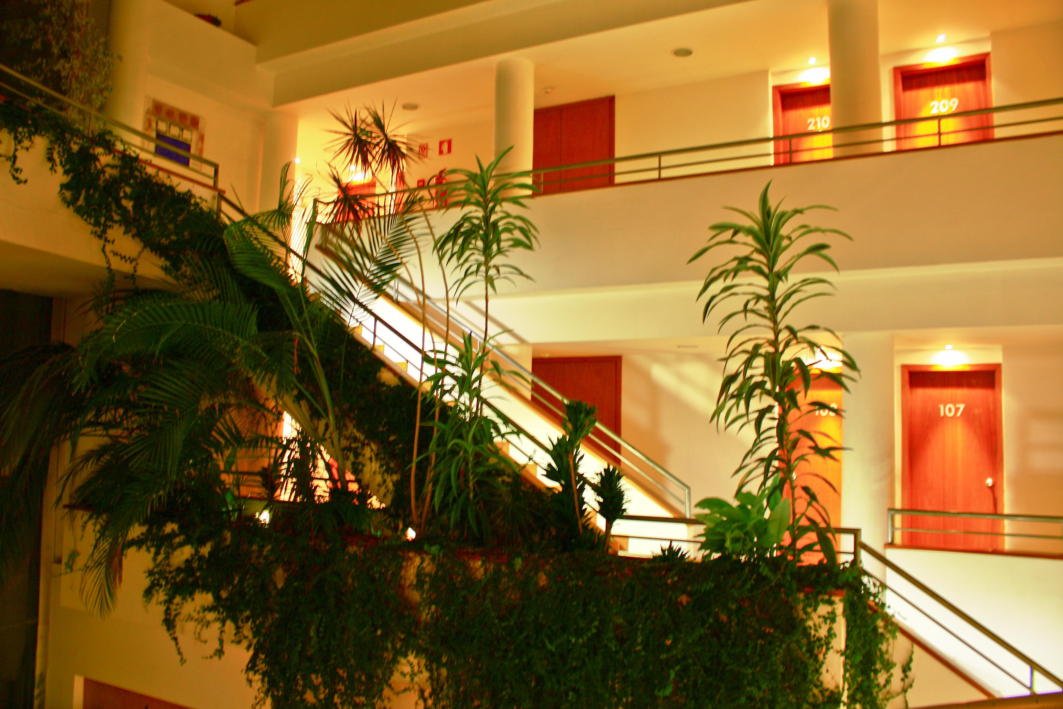 Hotel Das Taipas Γκιμαράες Εξωτερικό φωτογραφία